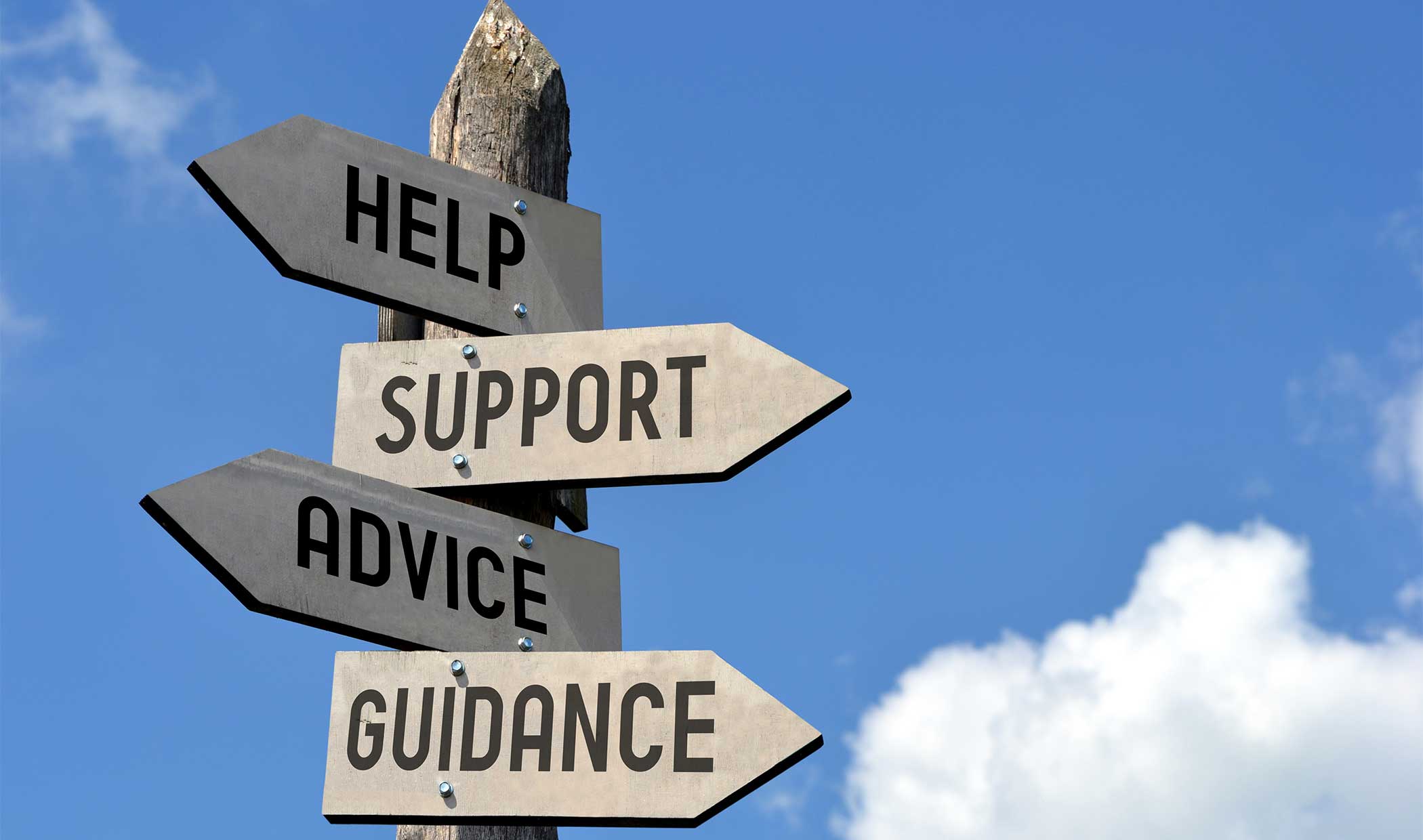 不動産から建築までトータルサポートのイメージ